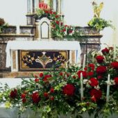 allestimento floreale chiesa di Anzano del Parco - Matrimonio - Roselline rosse