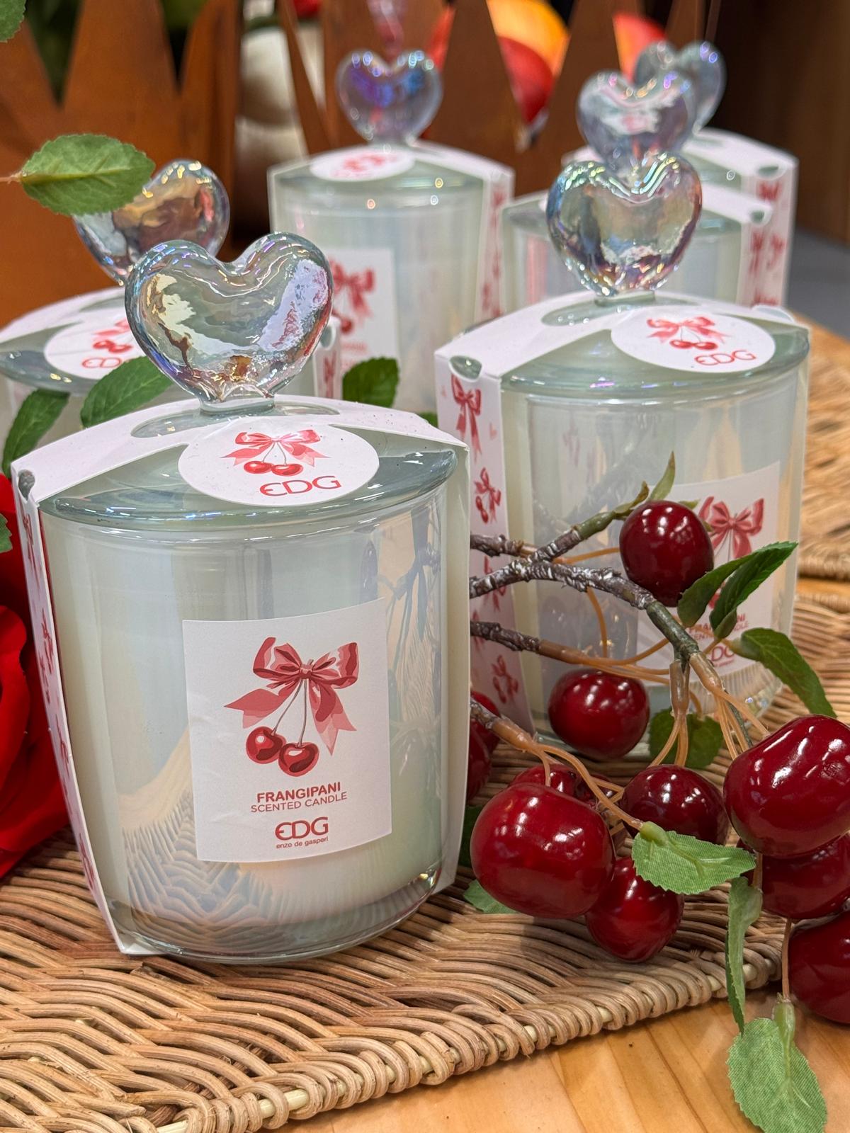 WhatsApp Image 2026-02-18 at 18.16.29 (1)