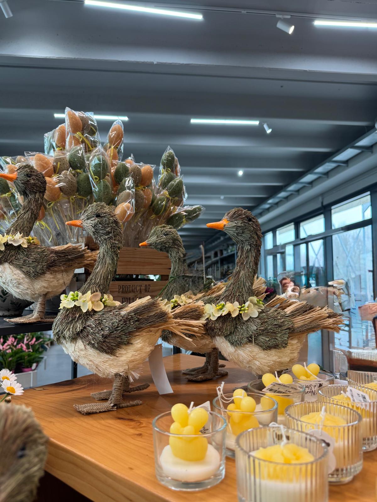 WhatsApp Image 2026-04-12 at 10.00.53