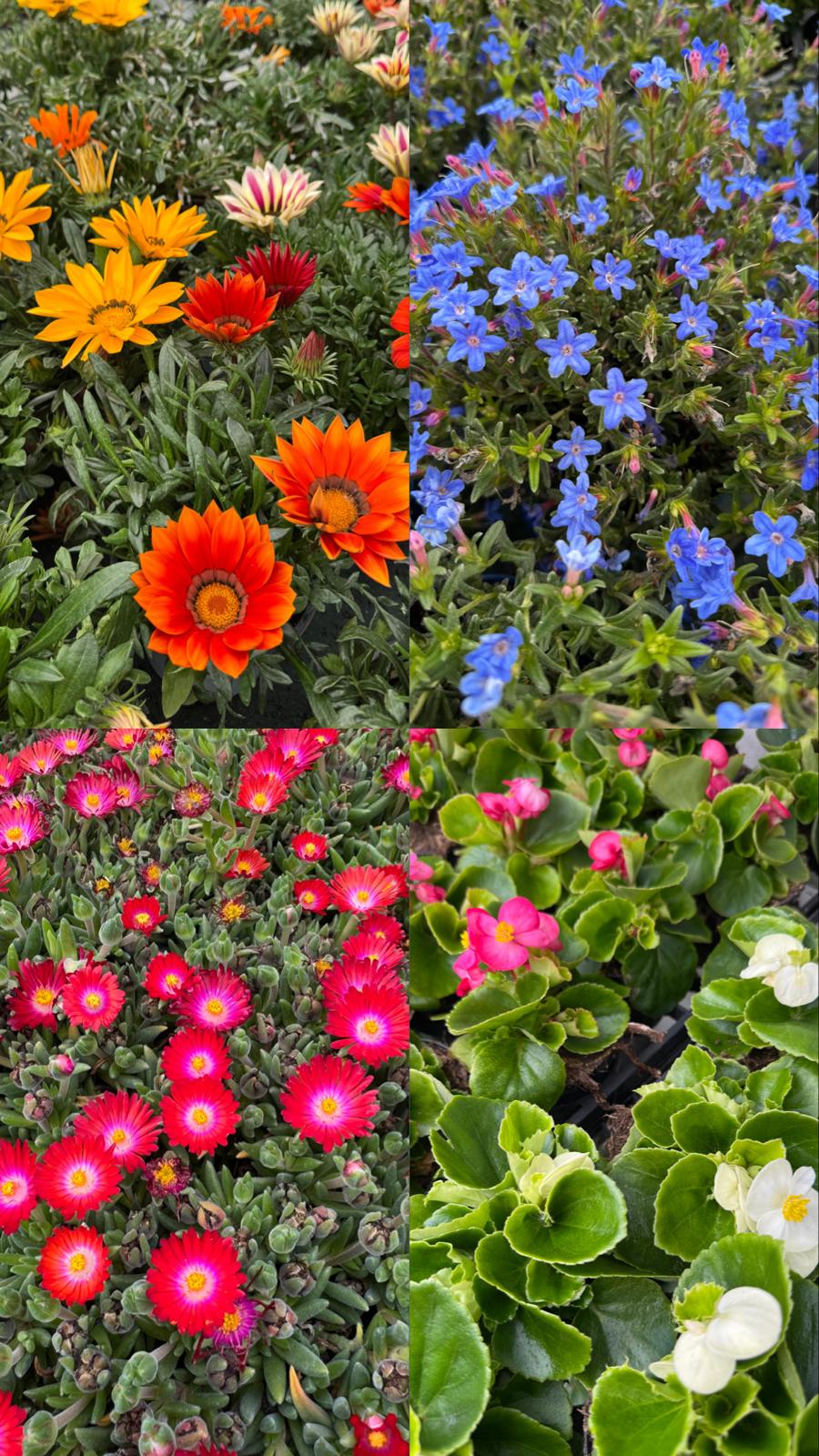 WhatsApp Image 2026-04-12 at 14.33.40